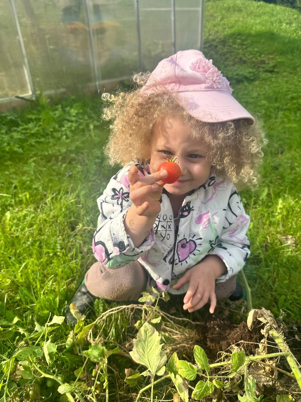 Ребёнок держит небольшой помидор рядом с грядкой